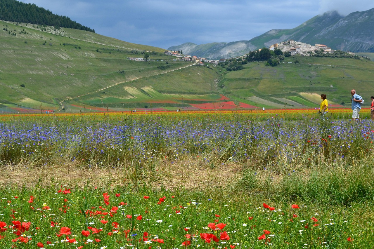 Passeggiate nella piana di Castelluccio
