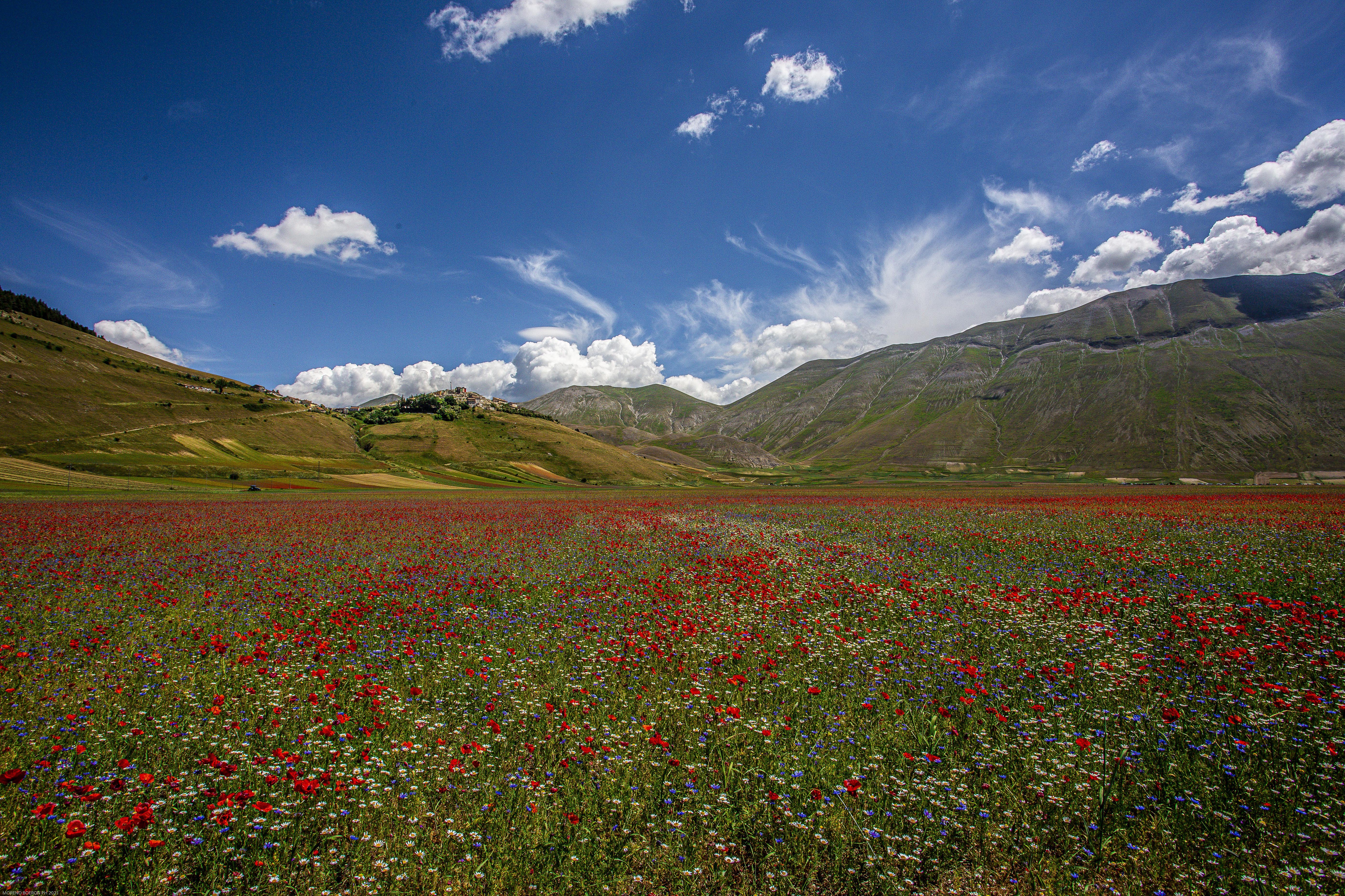 16208275-castelluccio-6881544.jpg